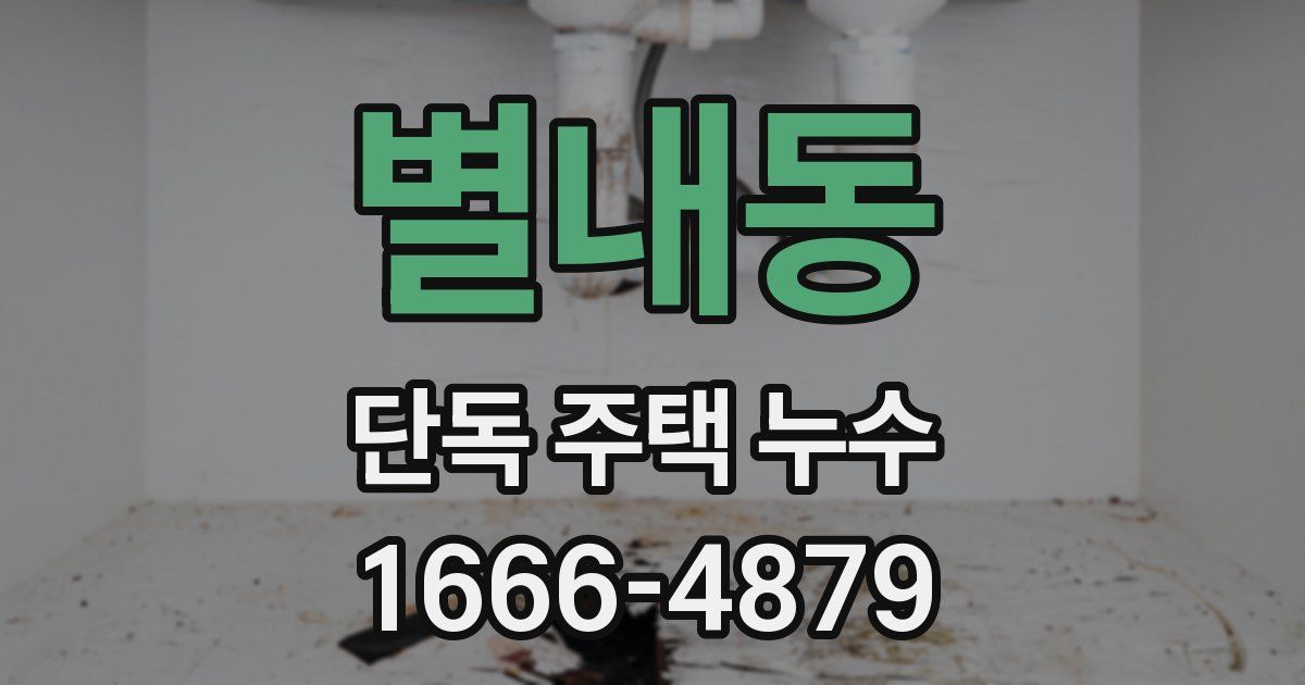 별내동 단독 주택 누수