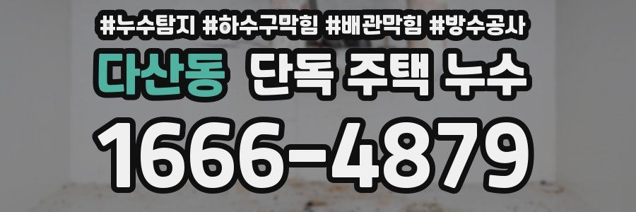 다산동 단독 주택 누수
