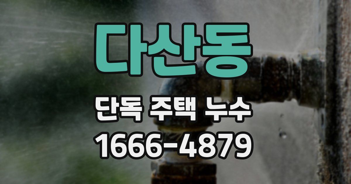 다산동 단독 주택 누수