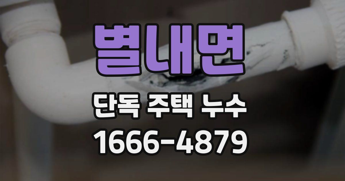 별내면 단독 주택 누수