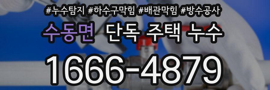수동면 단독 주택 누수