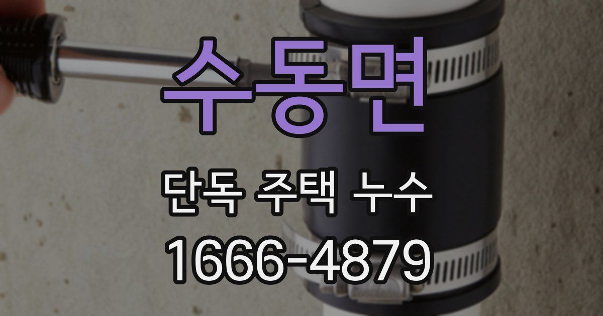 수동면 단독 주택 누수