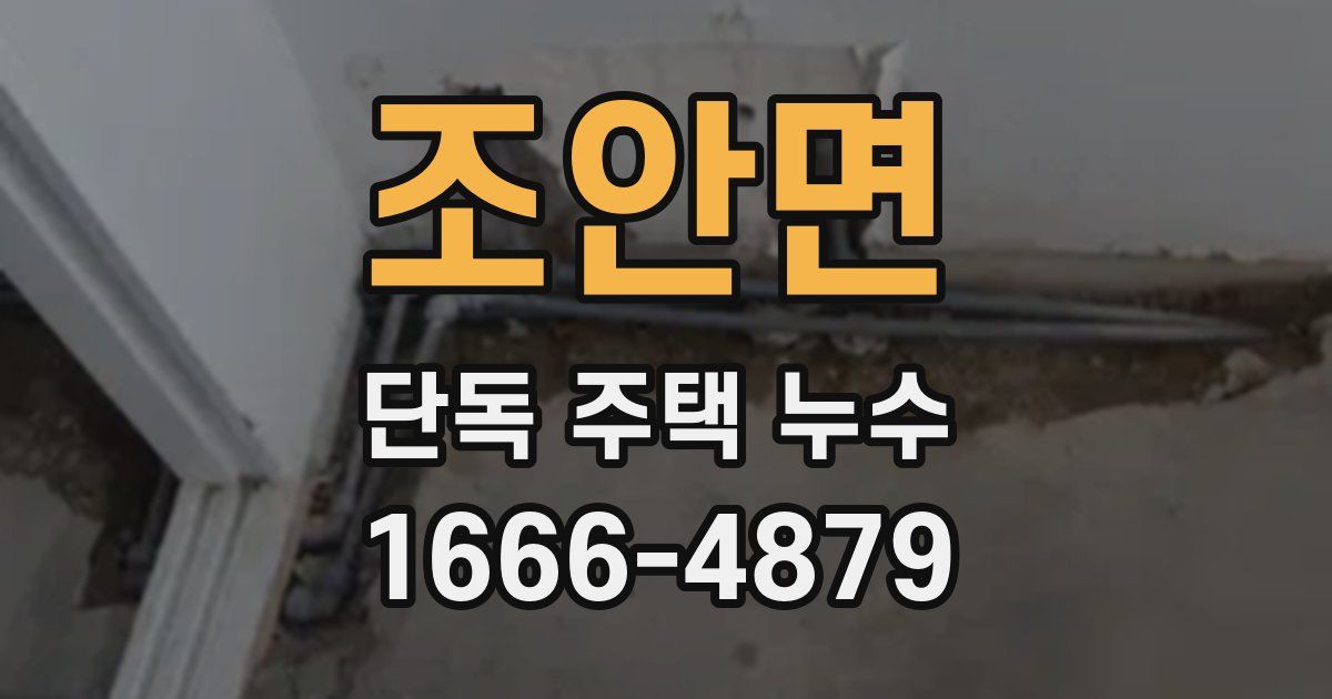 조안면 단독 주택 누수