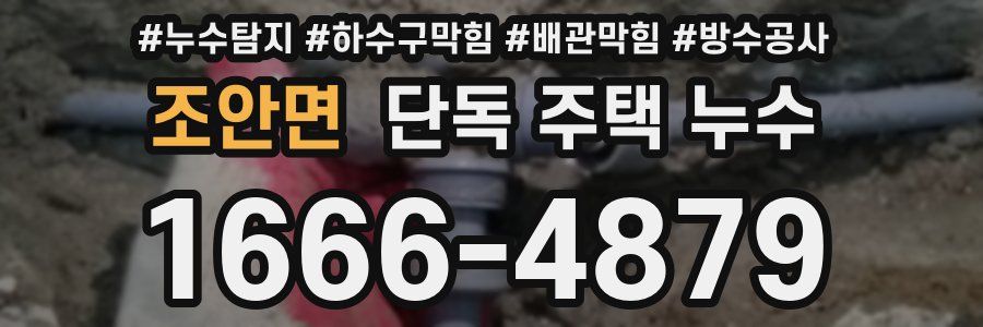 조안면 단독 주택 누수