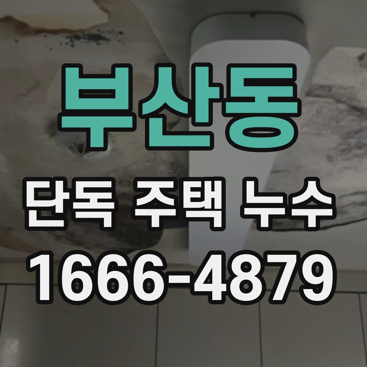 부산동 단독 주택 누수