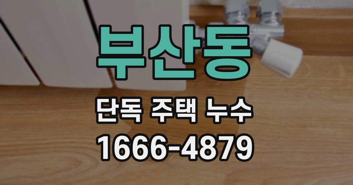 부산동 단독 주택 누수