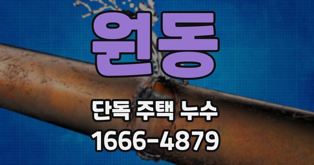 원동 단독 주택 누수