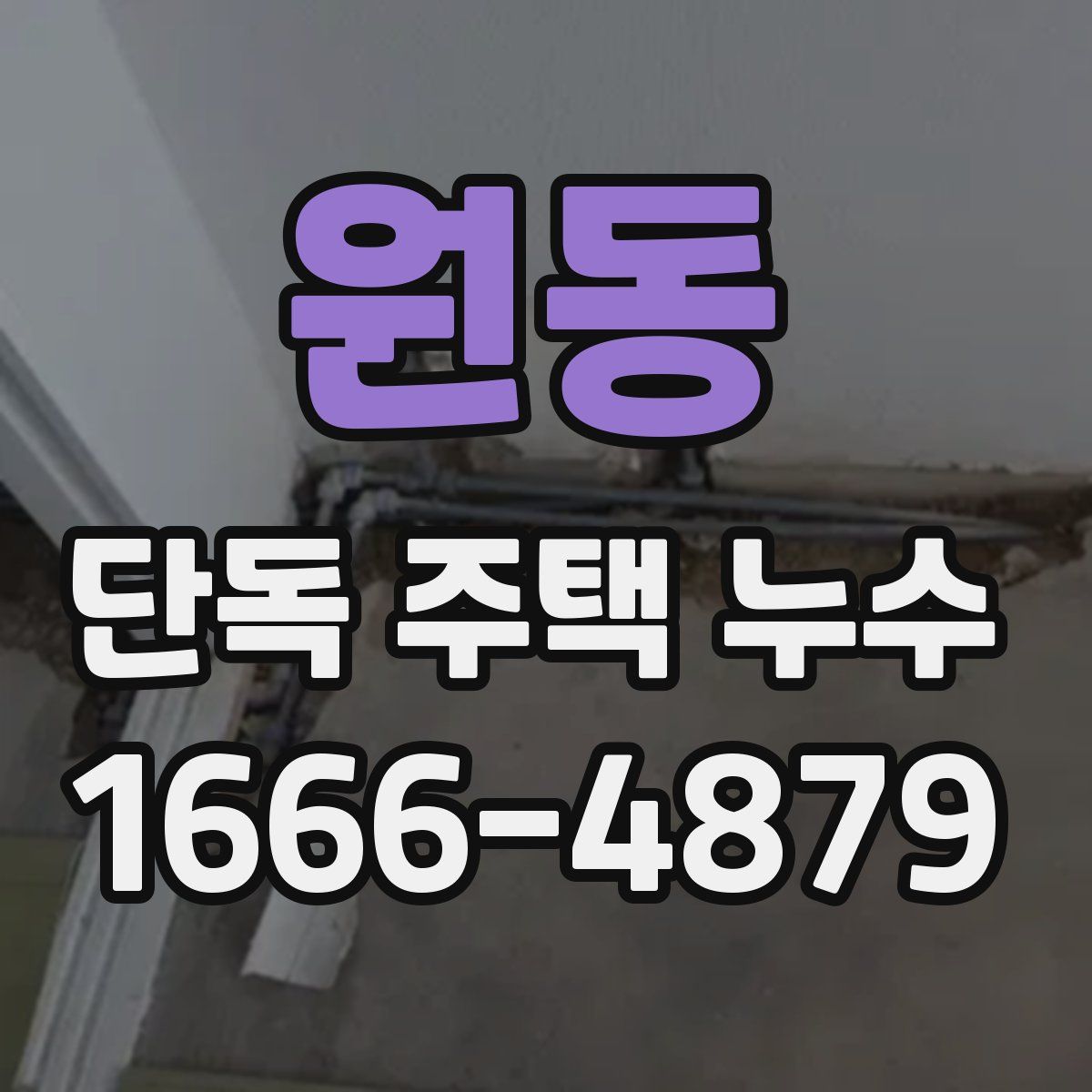 원동 단독 주택 누수