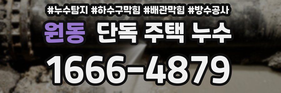 원동 단독 주택 누수