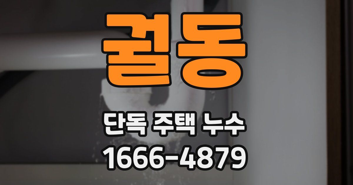 궐동 단독 주택 누수