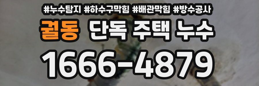 궐동 단독 주택 누수