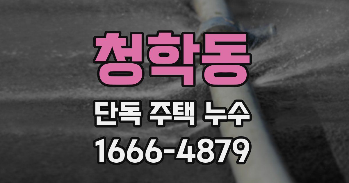 청학동 단독 주택 누수
