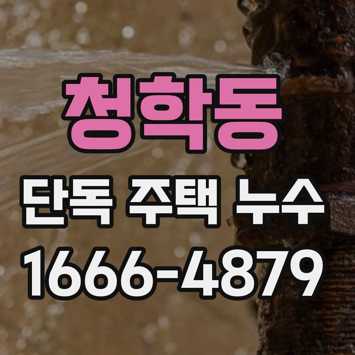 청학동 단독 주택 누수