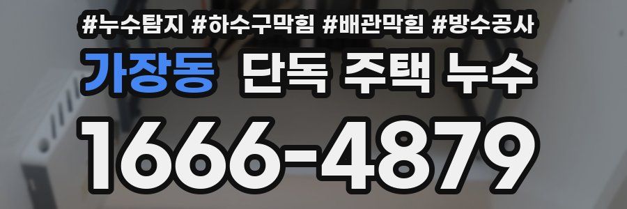 가장동 단독 주택 누수