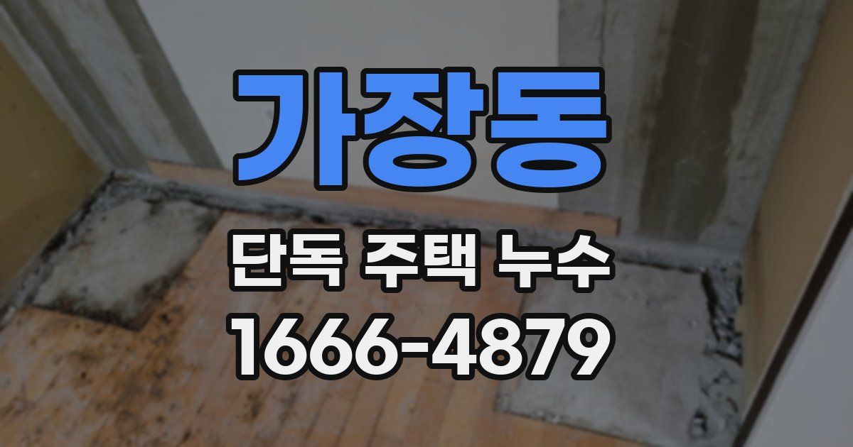 가장동 단독 주택 누수