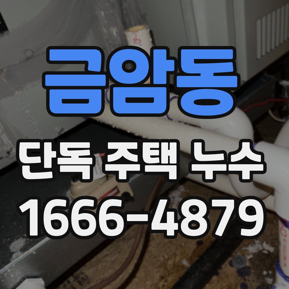 금암동 단독 주택 누수