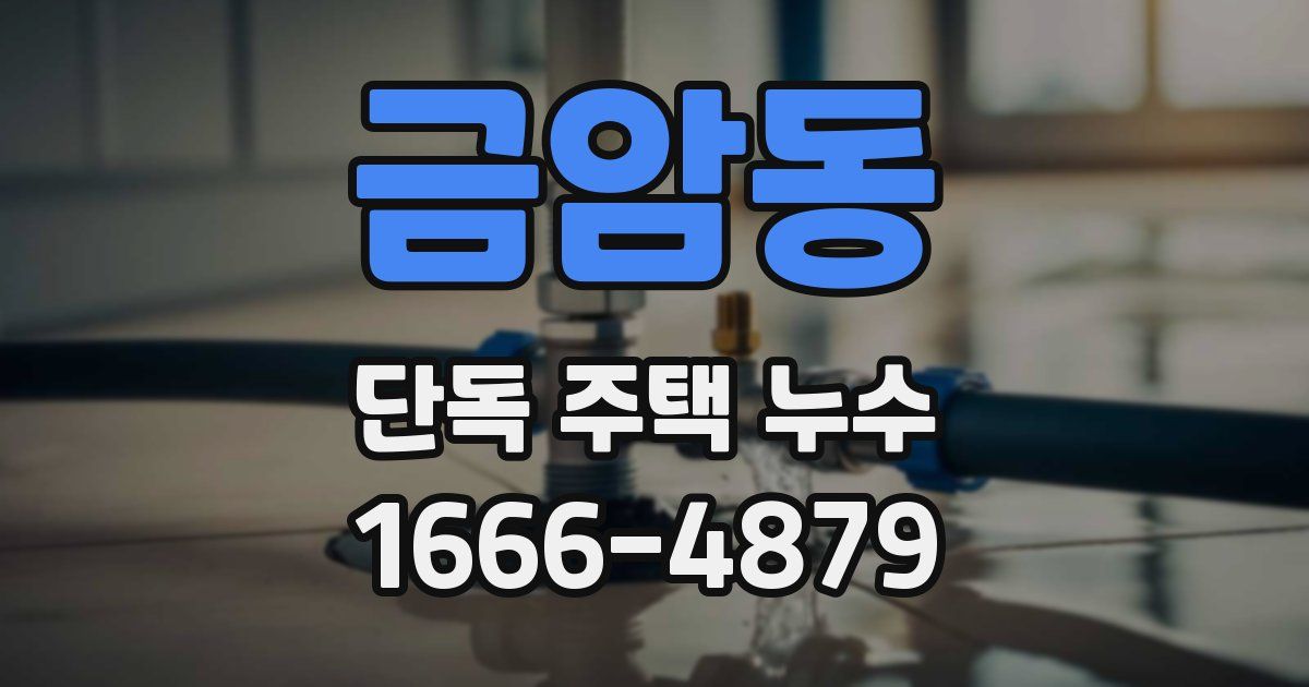 금암동 단독 주택 누수