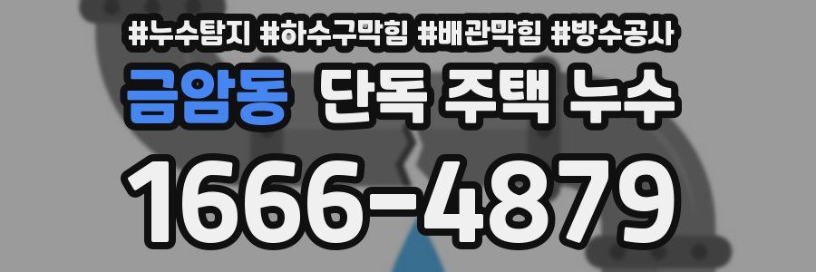 금암동 단독 주택 누수