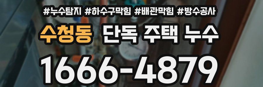 수청동 단독 주택 누수