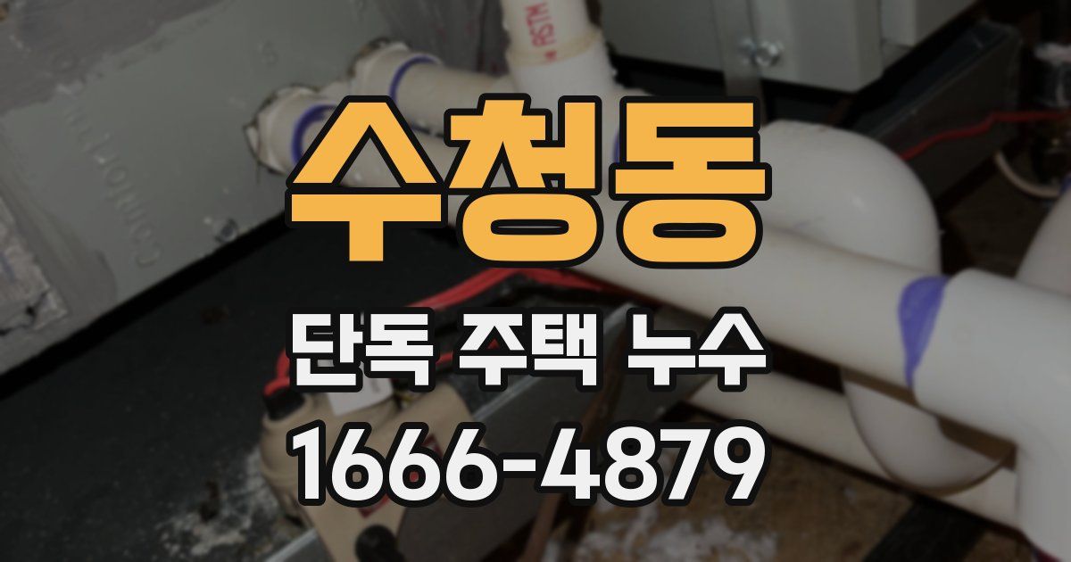 수청동 단독 주택 누수