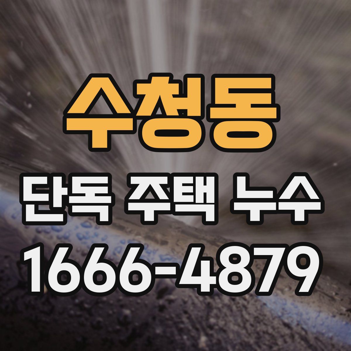 수청동 단독 주택 누수