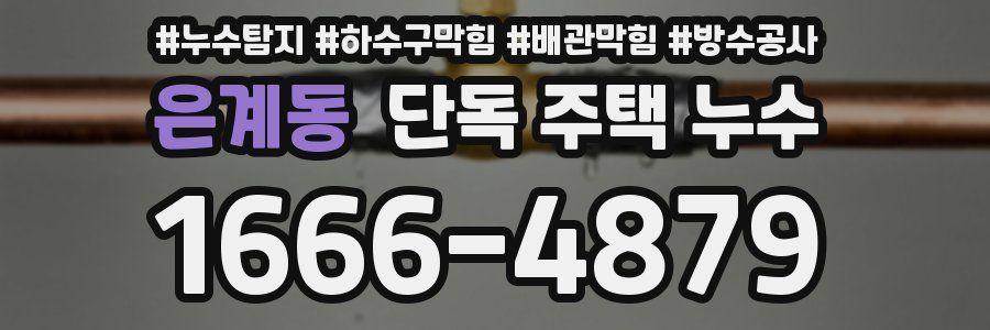 은계동 단독 주택 누수