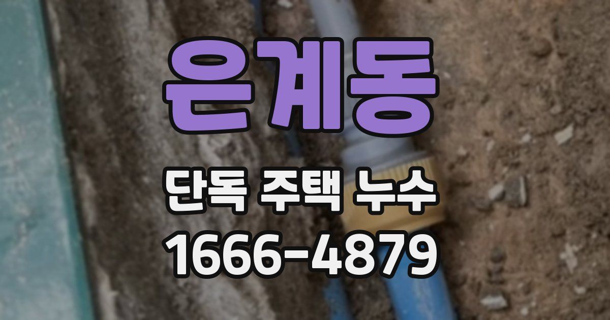 은계동 단독 주택 누수