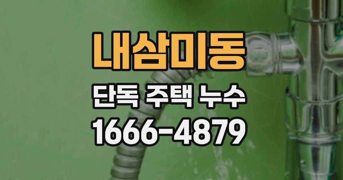 내삼미동 단독 주택 누수