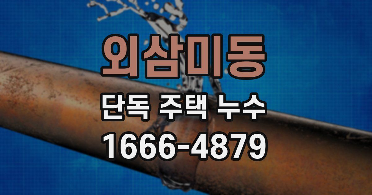 외삼미동 단독 주택 누수