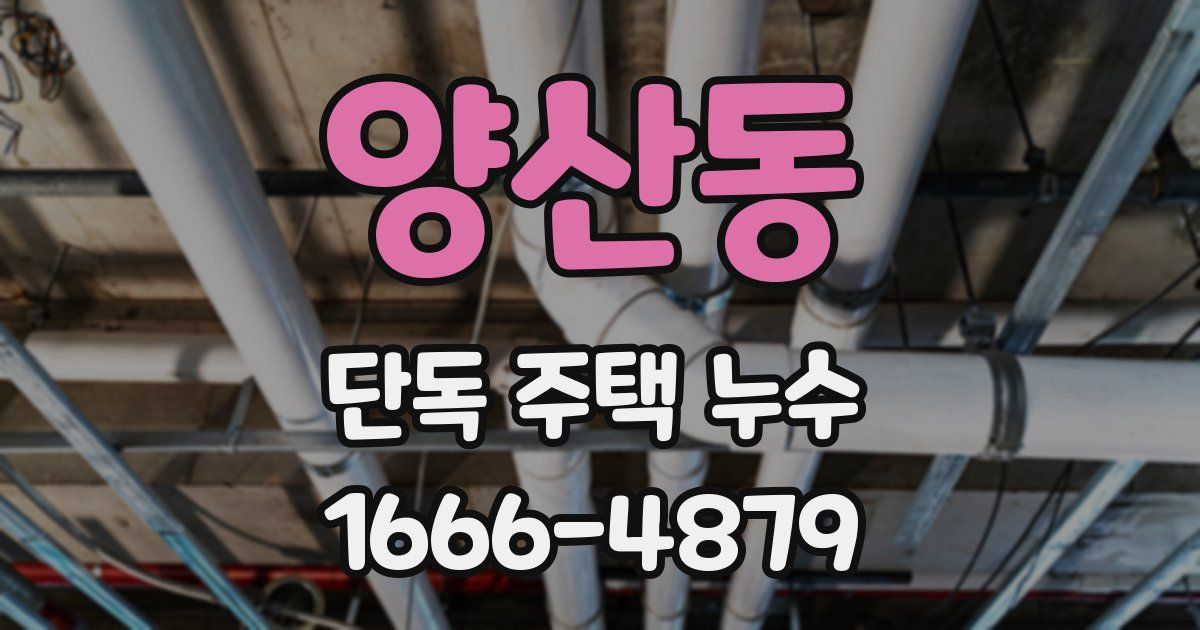 양산동 단독 주택 누수