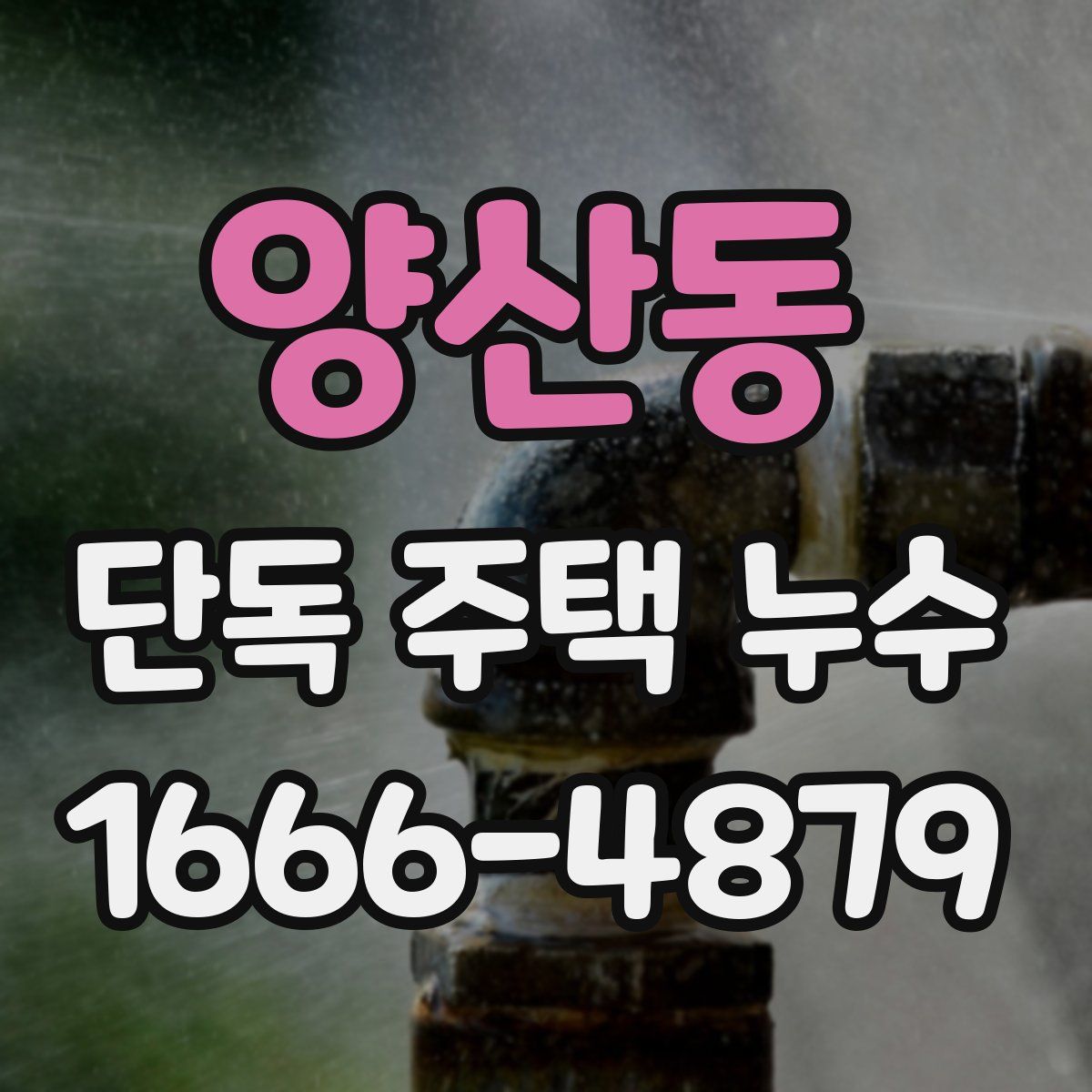 양산동 단독 주택 누수