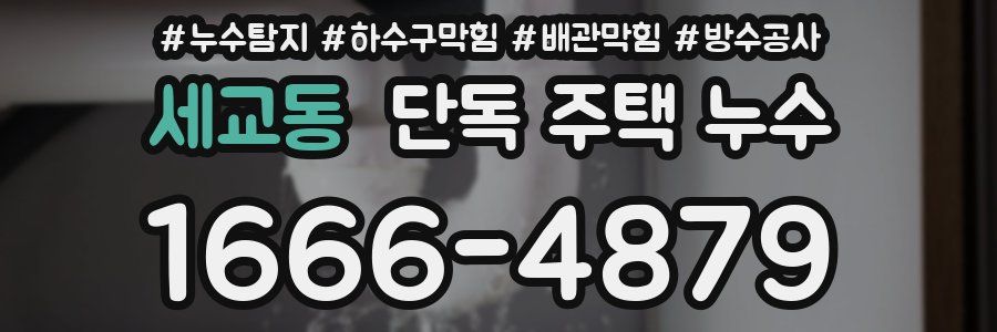 세교동 단독 주택 누수