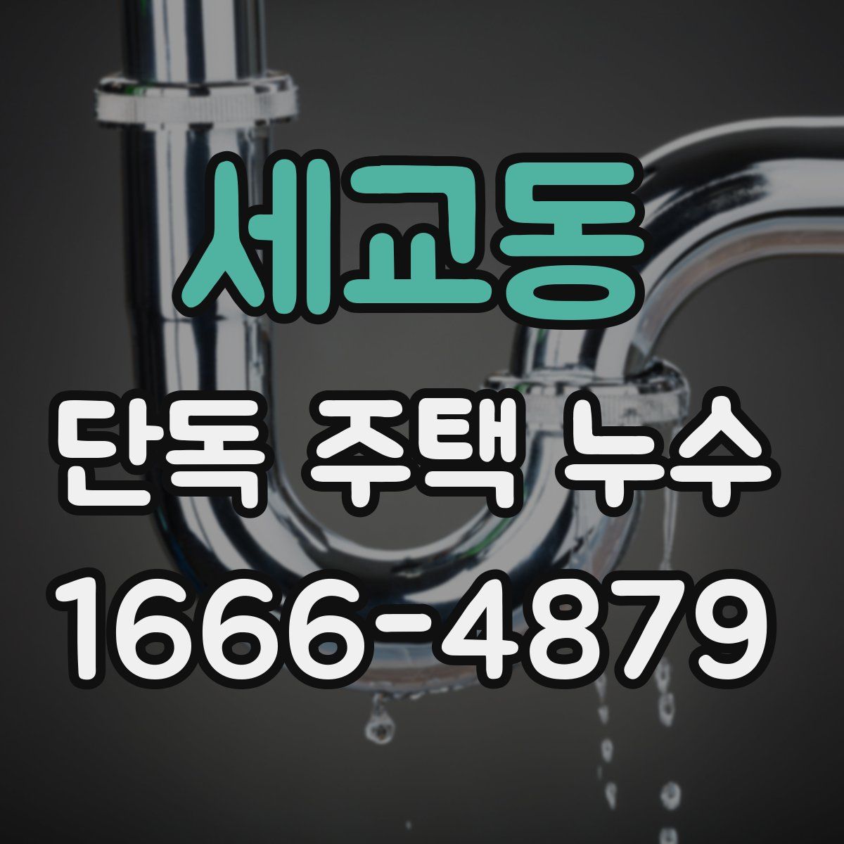 세교동 단독 주택 누수