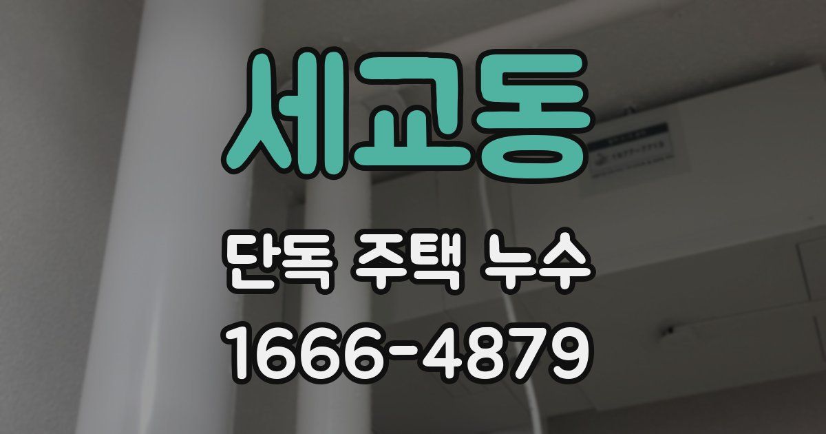 세교동 단독 주택 누수