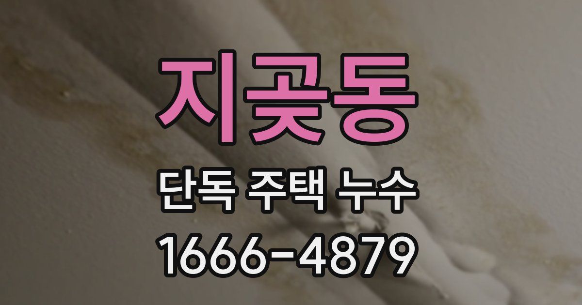 지곶동 단독 주택 누수