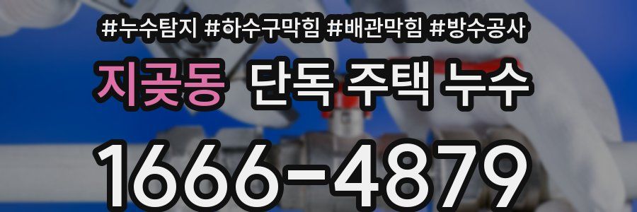 지곶동 단독 주택 누수