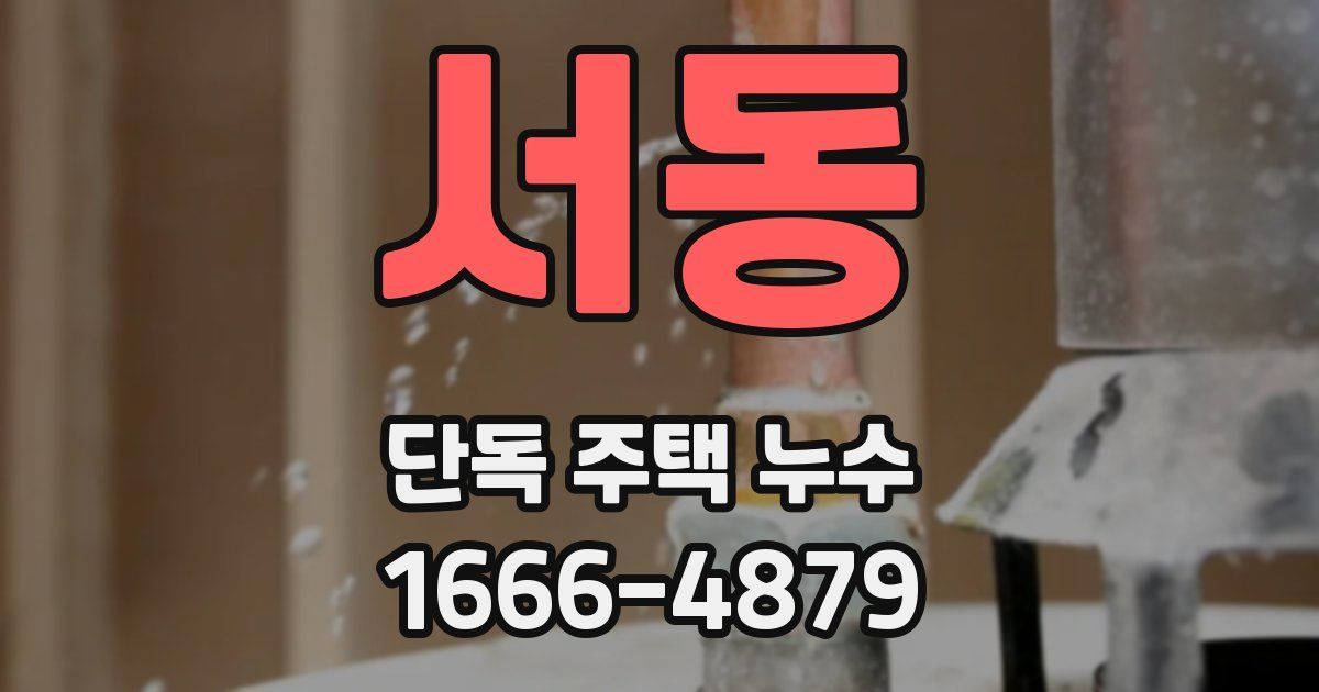 서동 단독 주택 누수