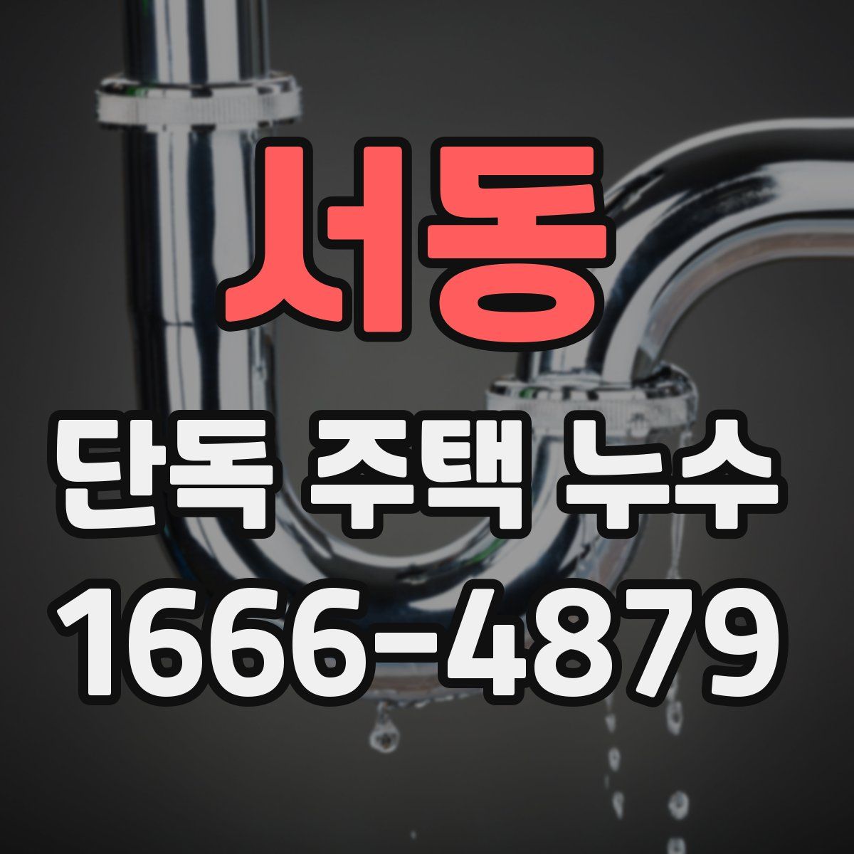 서동 단독 주택 누수