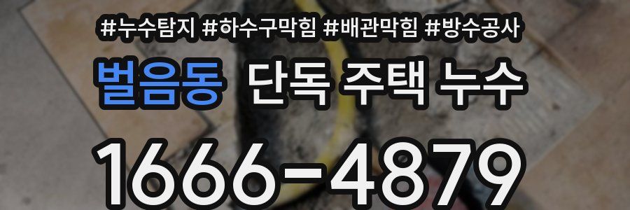 벌음동 단독 주택 누수
