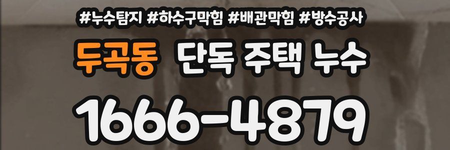 두곡동 단독 주택 누수