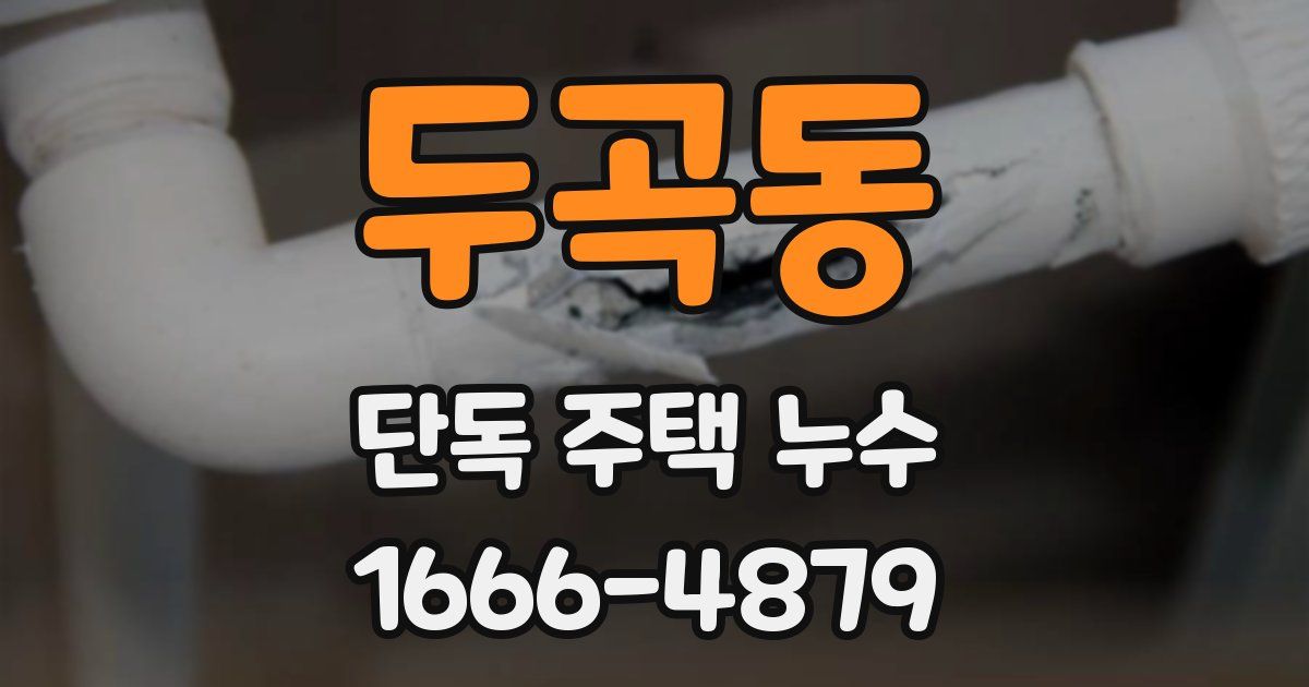두곡동 단독 주택 누수