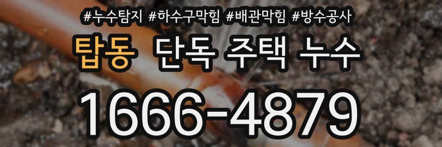 탑동 단독 주택 누수