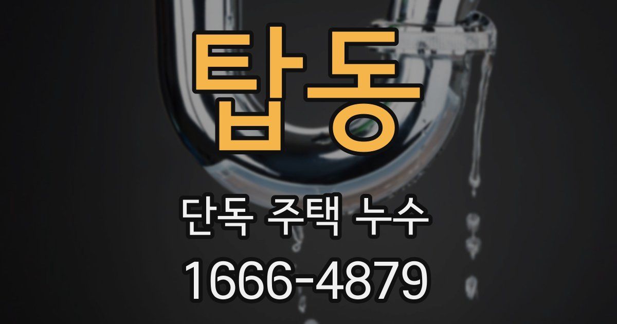 탑동 단독 주택 누수