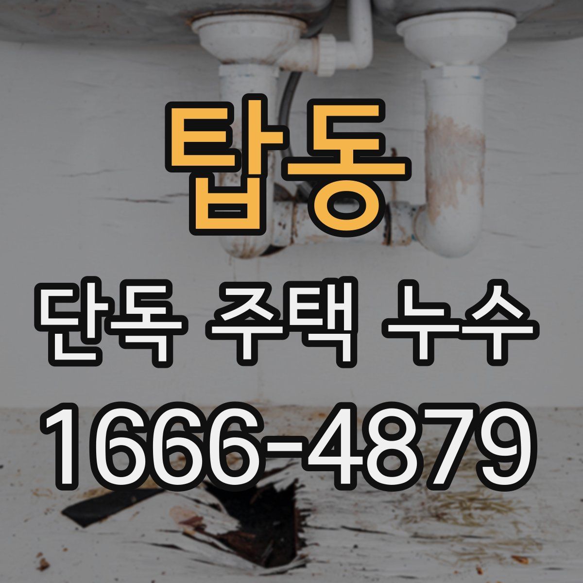탑동 단독 주택 누수