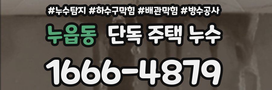 누읍동 단독 주택 누수