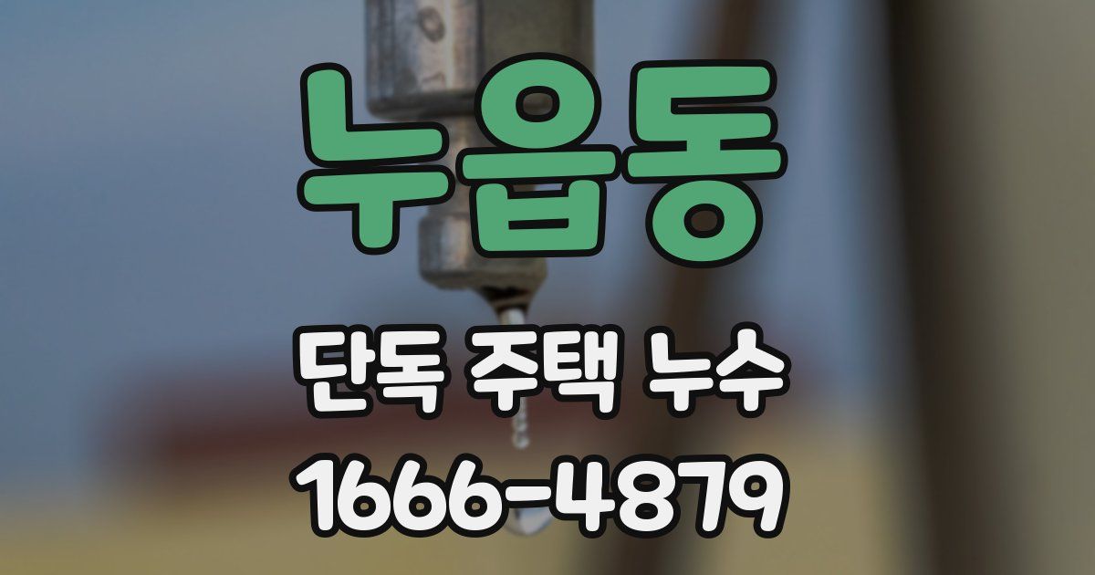 누읍동 단독 주택 누수