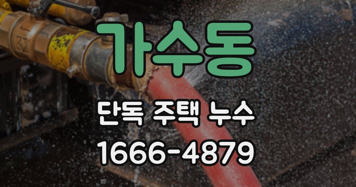 가수동 단독 주택 누수