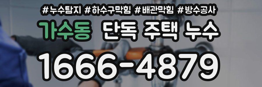 가수동 단독 주택 누수