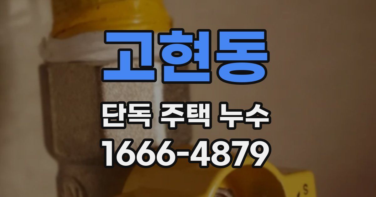 고현동 단독 주택 누수