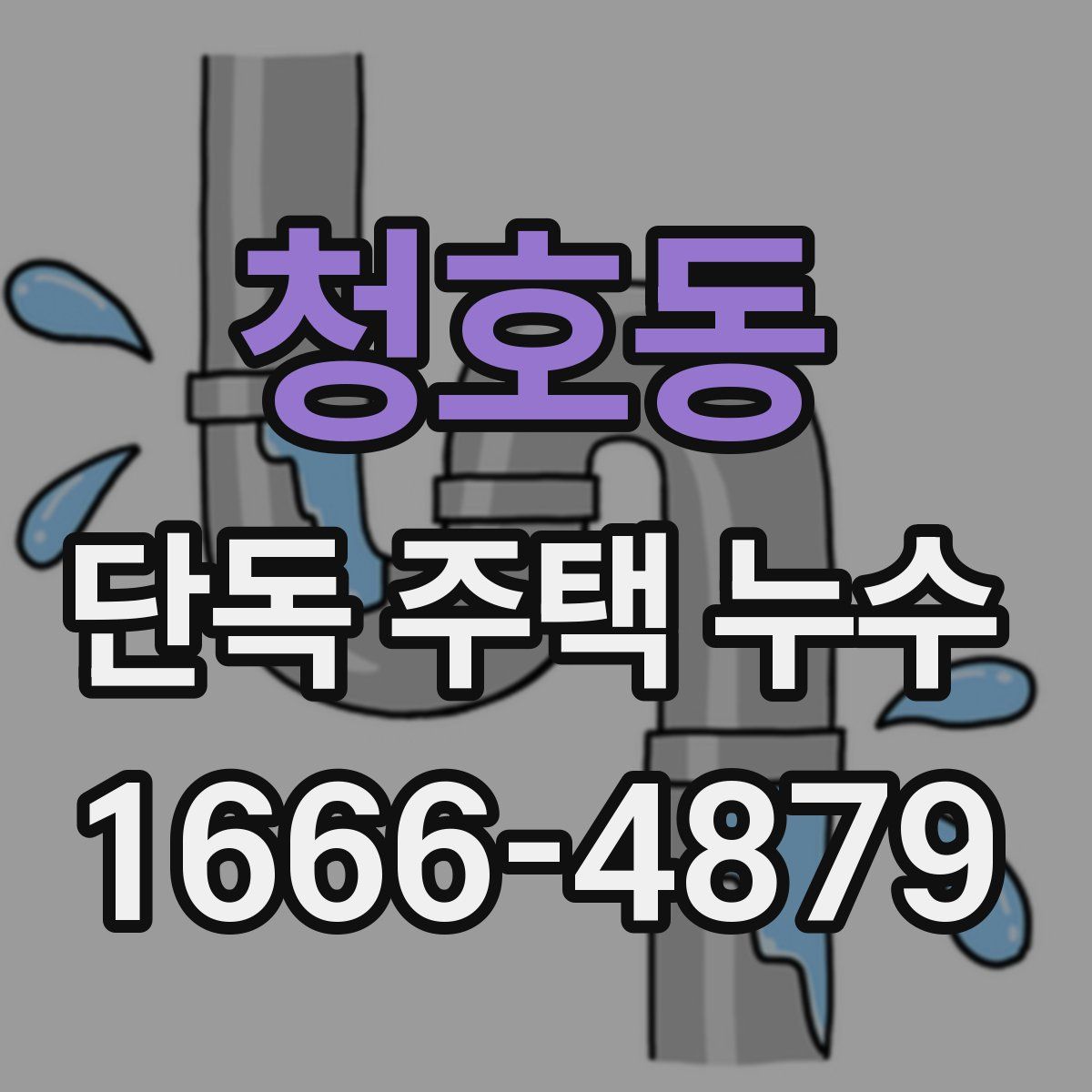 청호동 단독 주택 누수